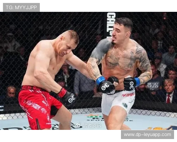 UFC膝撞命中直接终结比赛，瞬间点燃擂台的震撼瞬间
