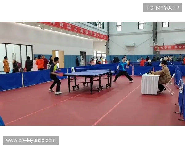 乒乓球锦标赛：快节奏对决扣人心弦，乒乓球锦标赛视频