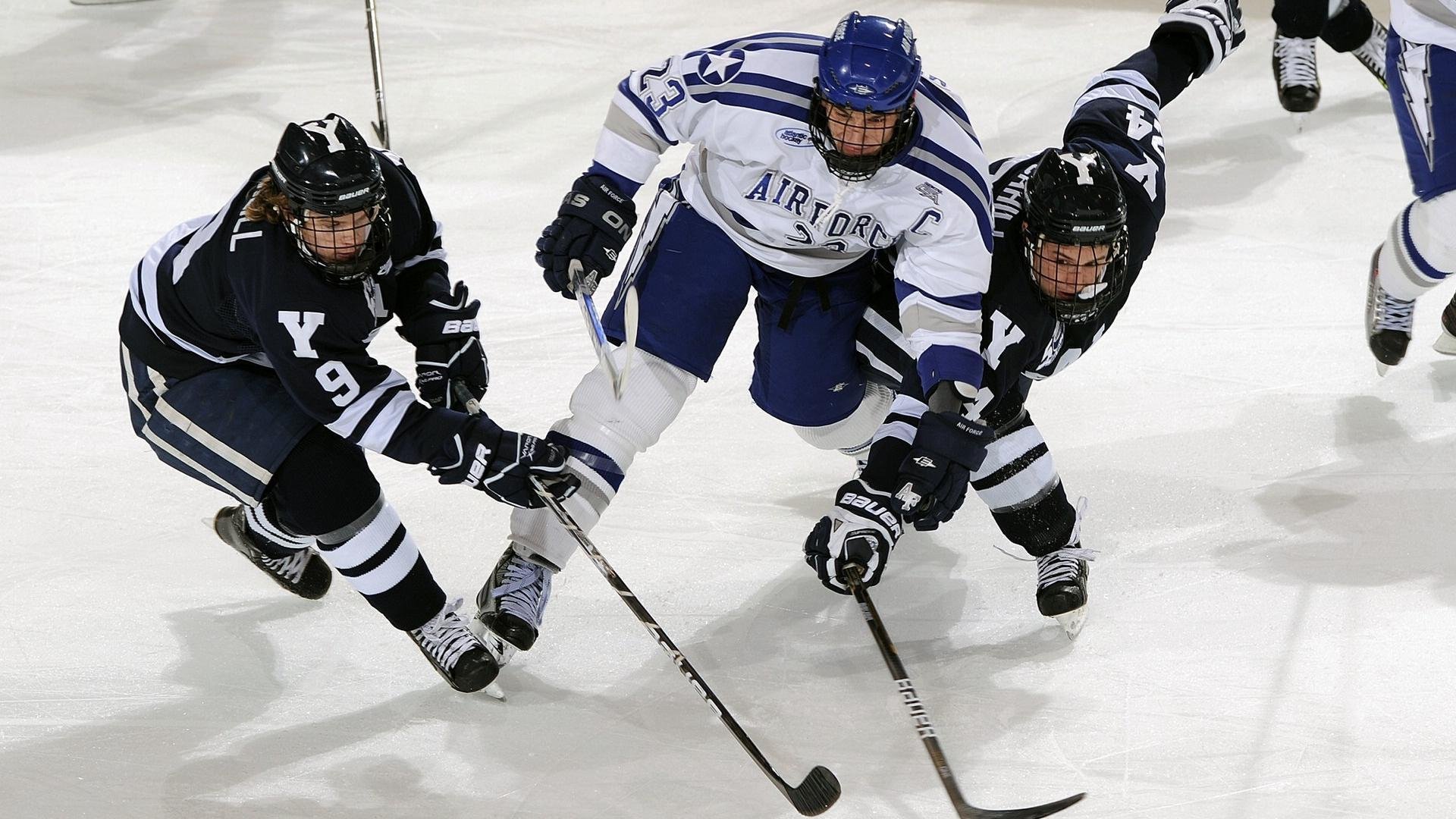 德甲速成新星引欧洲关注，德甲新人
